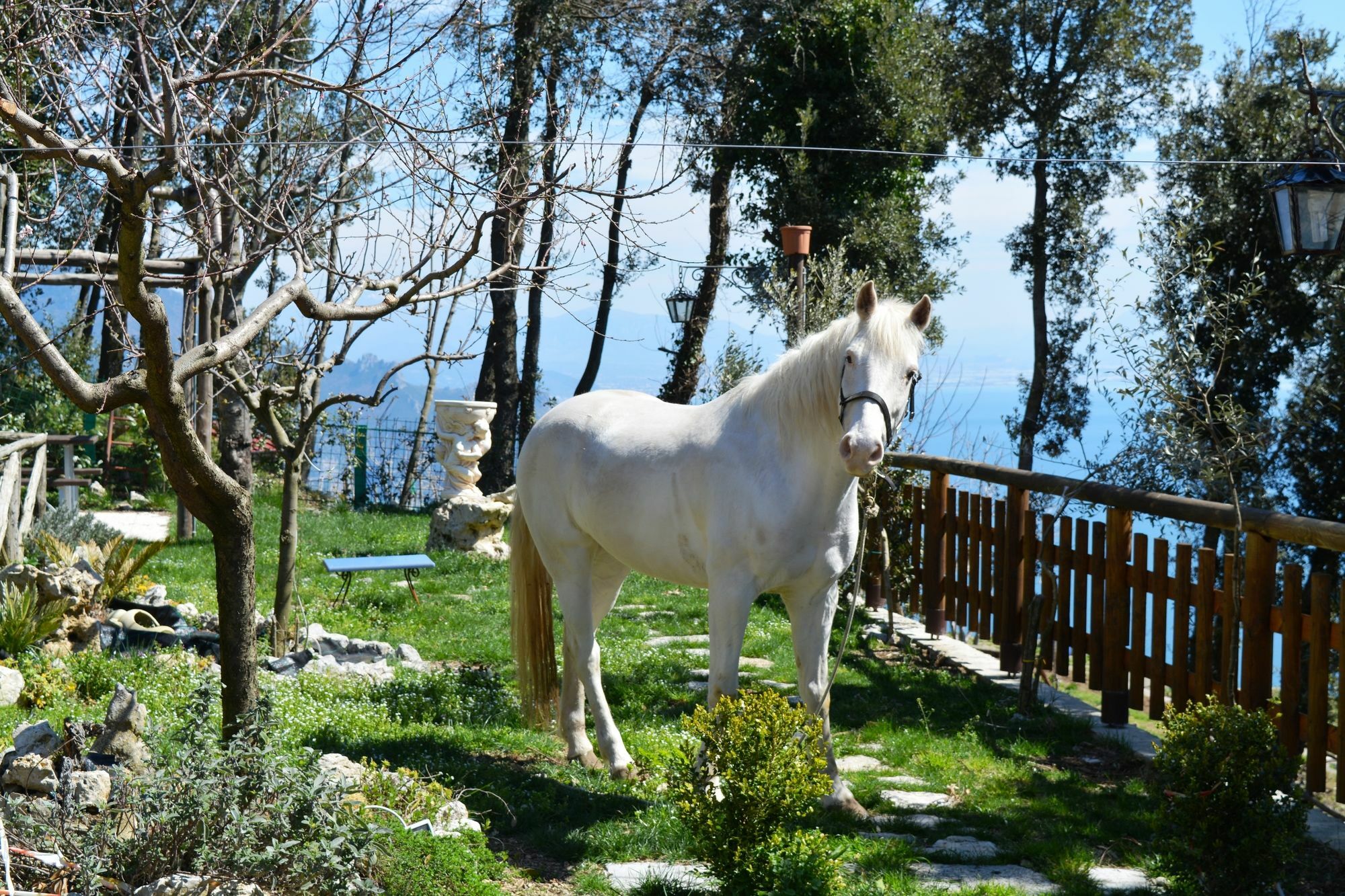 B&B Miramare Agerola Exterior foto